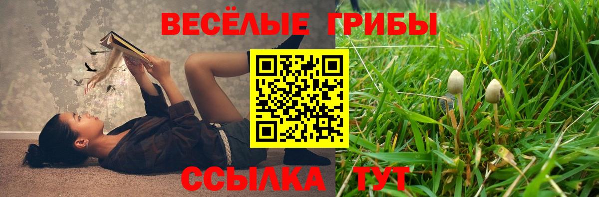 Галлюциногенные грибы Cubensis Гагарин